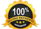 100% Secure Payment