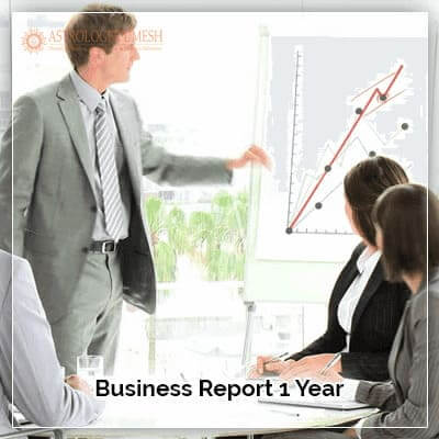 Business Report 1 Year