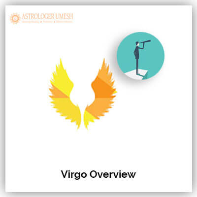 Virgo Overview
