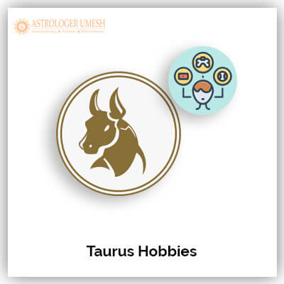 Taurus Hobby