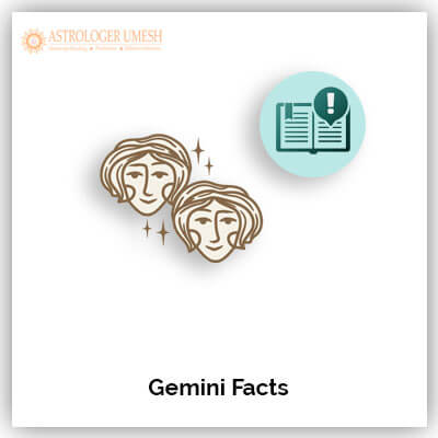 Gemini Facts