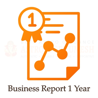 Business Report 1 Year
