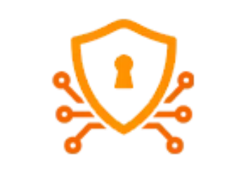 SafeGuarded Payments